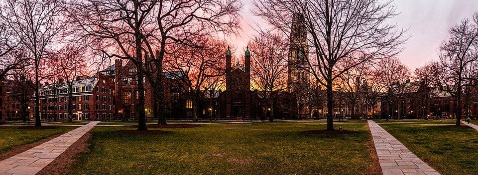 How to Get Into Yale: Expert Tips to Ace Your Application How to Get Into Yale: Expert Tips to Ace Your Application